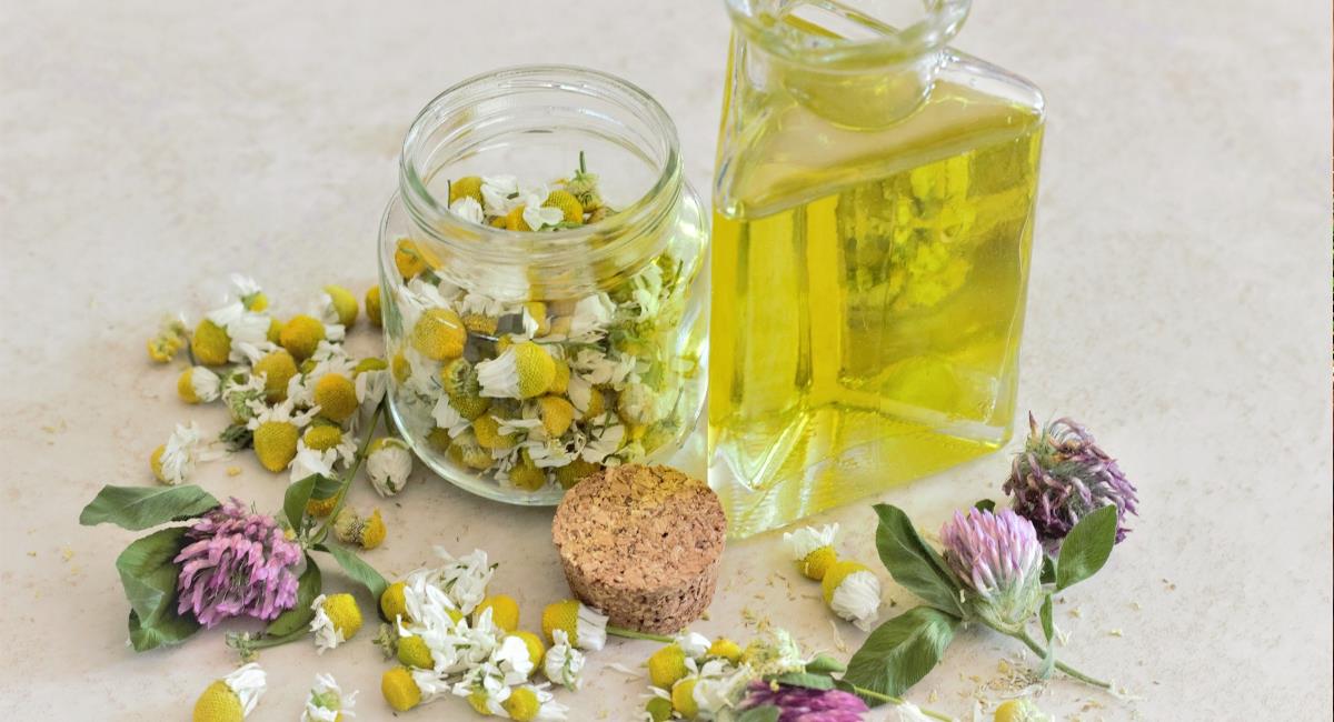10 βότανα για την περιποίηση των μαλλιών και της επιδερμίδας!