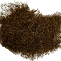 ΦΟΥΝΤΕΣ ΚΑΛΑΜΠΟΚΙΟΥ CUT ΓΕΡΜΑΝΙΑΣ